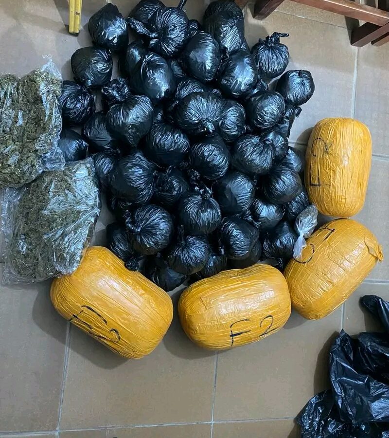Bénin : un individu arrêté pour commercialisation de produits psychotropes à Jonquet