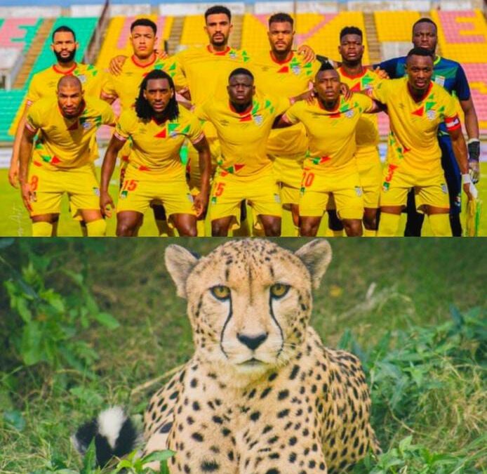 Bénin # Rwanda : Un match décisif pour les Guépards du Bénin