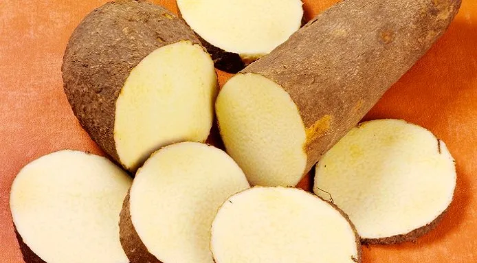Rituels avant la consommation de la nouvelle igname : Les populations de Kotopounga sacrifient à la tradition