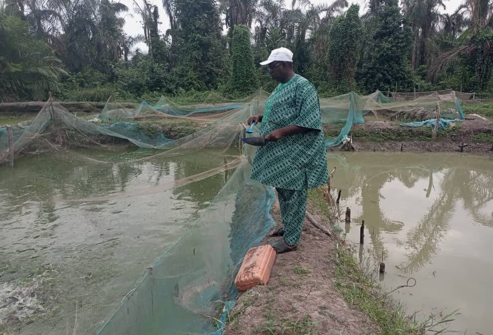 Production de poissons dans l'Ouémé : Samuel HONFOGA appelle à la mobilisation autour de la pisciculture à Adjarra
