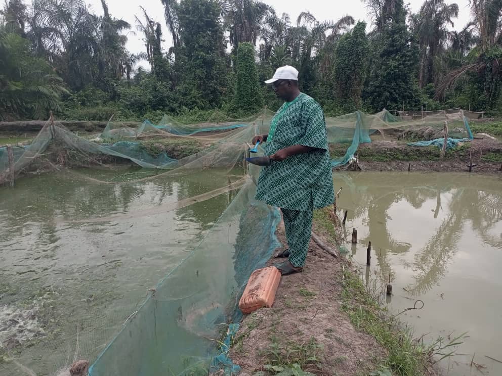 Production de poissons dans l'Ouémé : Samuel HONFOGA appelle à la mobilisation autour de la pisciculture à Adjarra