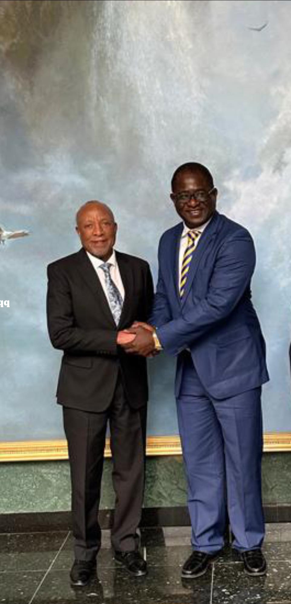 Investissement en Afrique : Moïse Kérékou reçu par le Président namibien