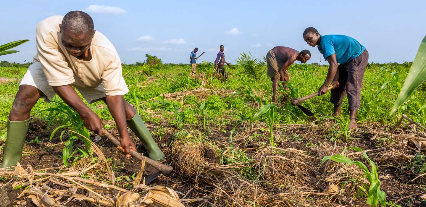 Éditorial : Billet retour à l'esclavage agricole