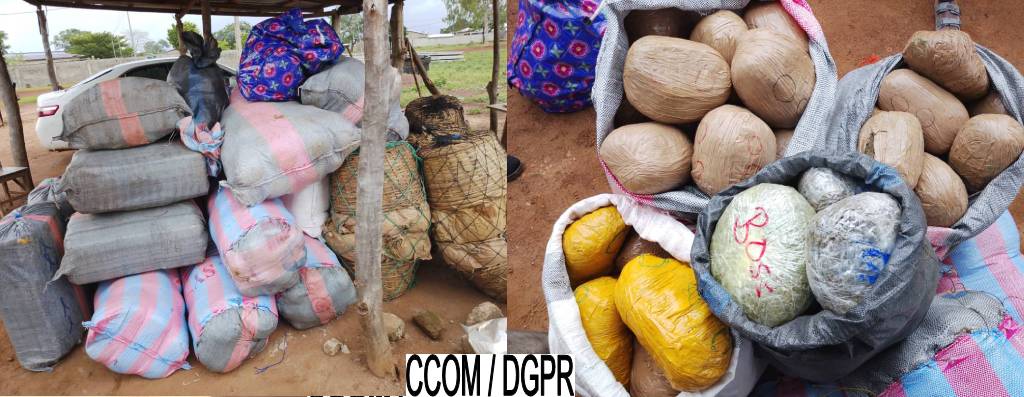 Trafic de drogue au Bénin: Plus d’une tonne de stupéfiants saisis à Sèmèrè