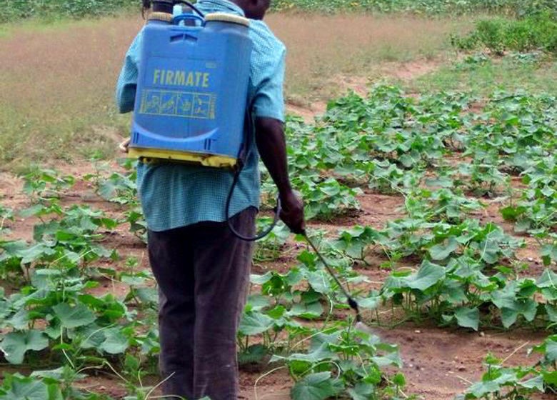 Phytosanitaire au Bénin : Le gouvernement interdit aux services techniques publics de proposer des prestations à titre onéreuses