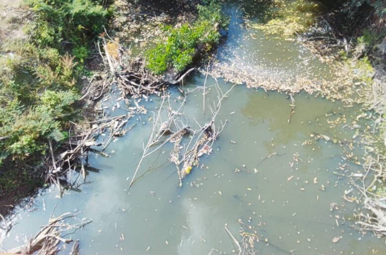 Commune de Savalou :La production de légumes au bord de la rivière Agbado et ses difficultés