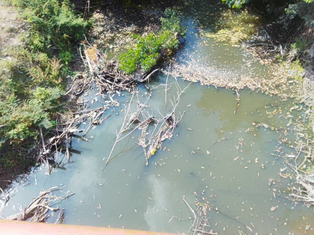 Commune de Savalou :La production de légumes au bord de la rivière Agbado et ses difficultés