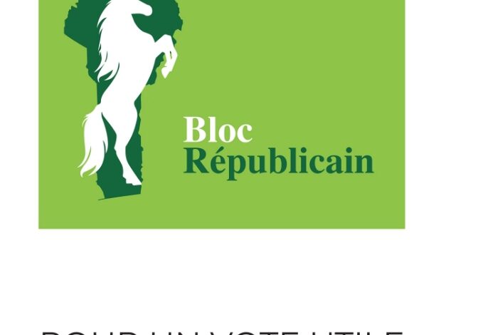 Elections municipales et communales 2026  : Le Bloc Républicain œuvre pour la promotion des femmes et des jeunes