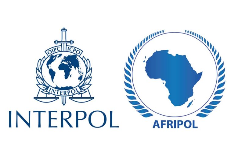 Sécurité en Afrique : Interpol et Afripol frappent les réseaux de financement du terrorisme