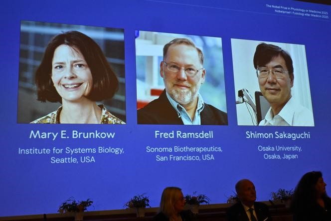 Prix Nobel de médecine : Mary E. Brunkow, Fred Ramsdell et Shimon Sakaguchi récompensés pour la découverte des cellules T régulatrices