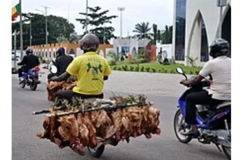Sécurité routière au Bénin : Vers un permis obligatoire pour les deux-roues