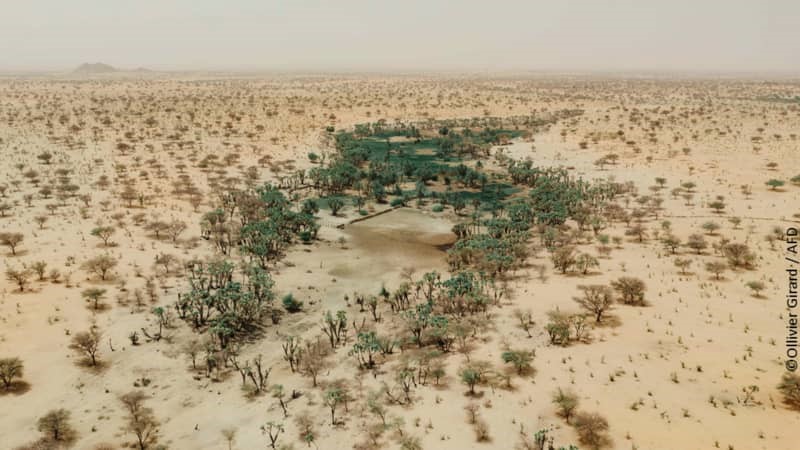 Grande Muraille Verte : La France renforce le Djibouti dans la restauration des terres