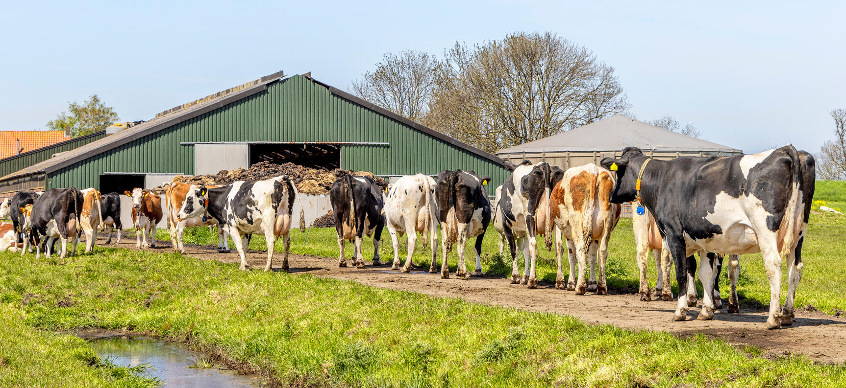 Enseignement technique : De nouvelles offres de formations disponibles dans les lycées agricoles dès la rentrée 2026