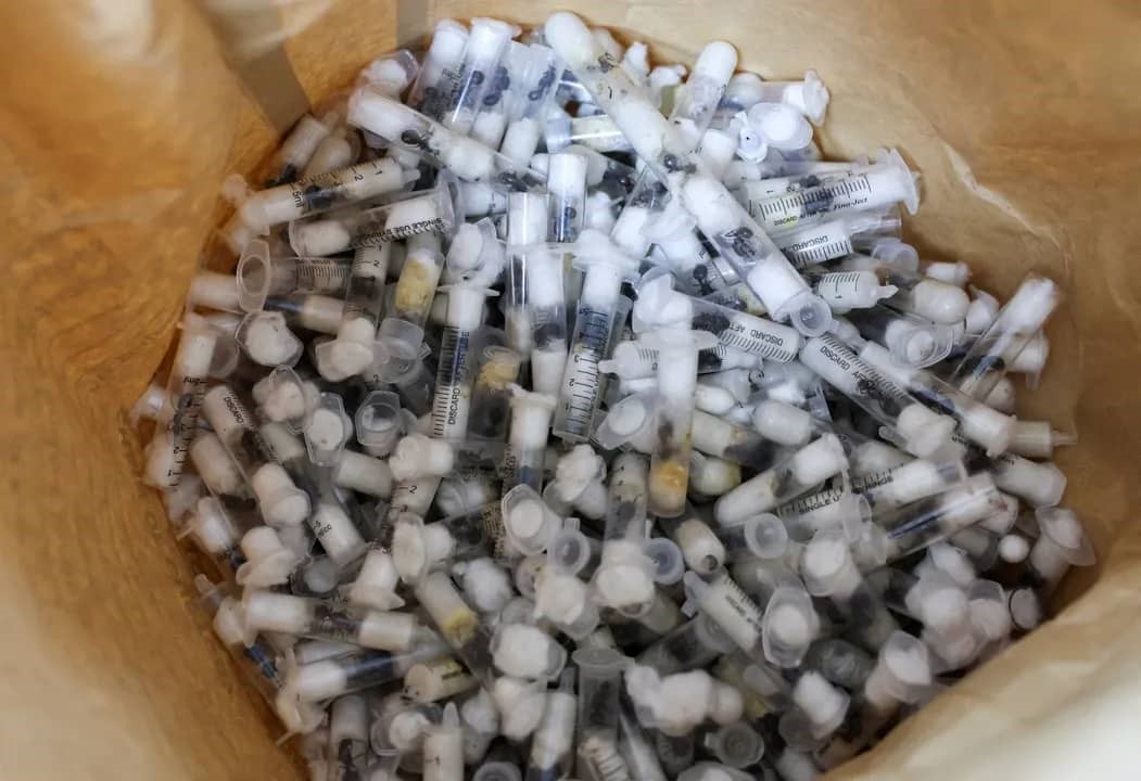 Kenya : un ressortissant Chinois arrêté à l'aéroport avec plus de 2 000 fourmis vivantes