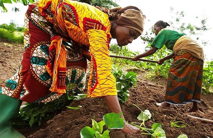 Agriculture:  Un bilan contrasté