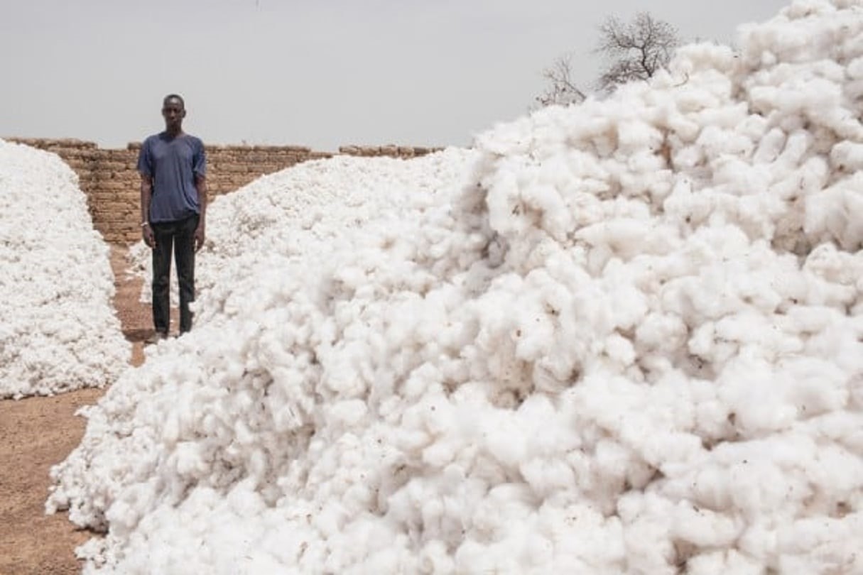 Commerce extérieur au Bénin: Le coton règne encore sur les exportations