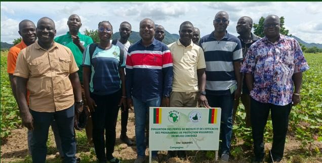 Agriculture en Afrique de l’Ouest: Pesticides : la riposte s’organise