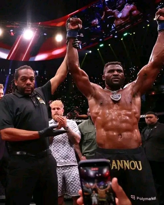 Combat Gala MVP MMA : retour gagnant de Francis Ngannou par KO