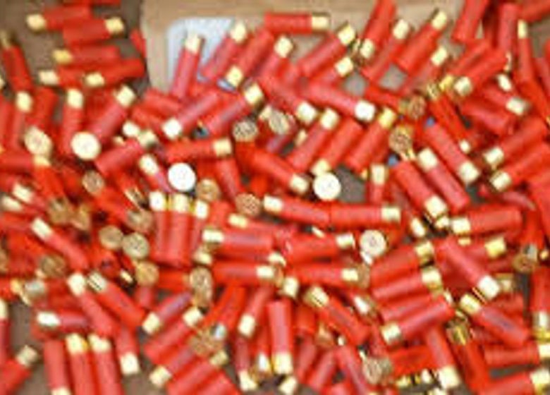 Lutte contre fraude douanière : 3000 cartouches de chasse interceptées à Bétérou