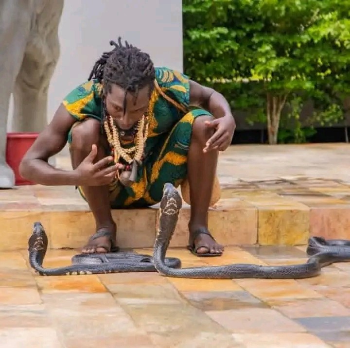 Python de Seba à Agla : Où sont passés les experts de la DGEFC ?