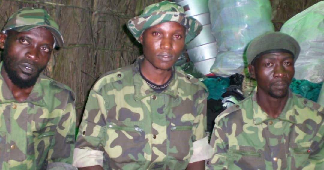 ADF : l'évolution d'une rébellion ougandaise devenue l'une des plus meurtrières d'Afrique