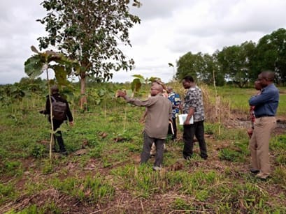 Dégradation des terres : le Bénin engage une vaste opération de restauration à l'horizon 2030