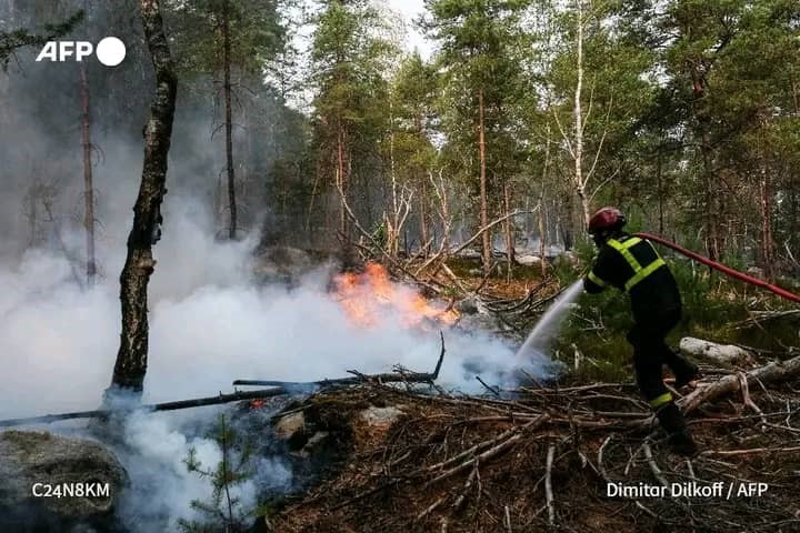 Incendies à Fontainebleau : deux suspects arrêtés reconnaissent les faits