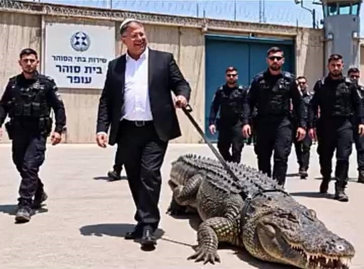 Israël : Le gouvernement autorise l'élevage de crocodiles à des fins pénitentiaires