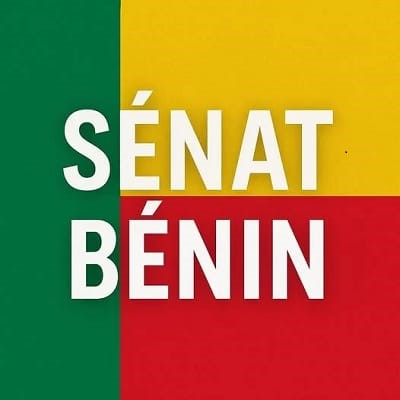 Nomination au Sénat et au Conseil économique et social : Des has-been !