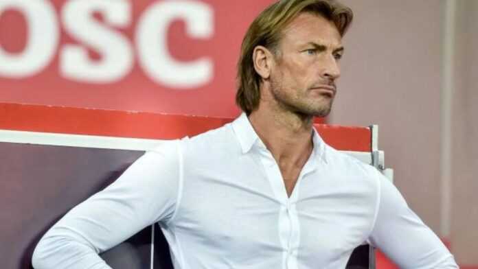 Côte d’Ivoire : Hervé Renard reprend les commandes des Éléphants
