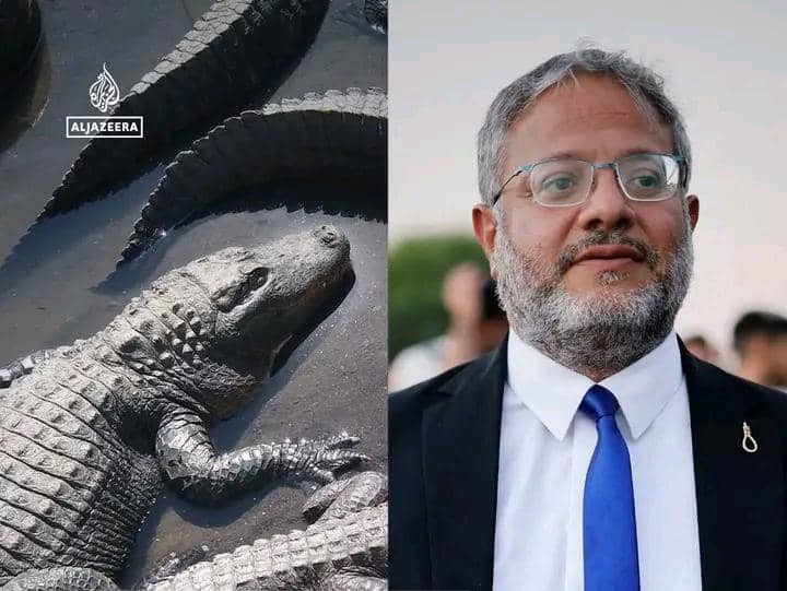 Israël : un tribunal suspend le projet de Ben Gvir d'installer des crocodiles autour d'une prison