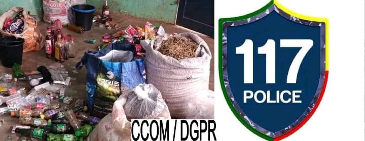 Bénin : une arrestation pour cambriolage révèle 21,5 kg de chanvre indien à Kétou