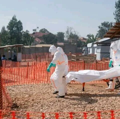 Riposte à Ebola : Près de 3 milliards de dollars mobilisés face à l’épidémie